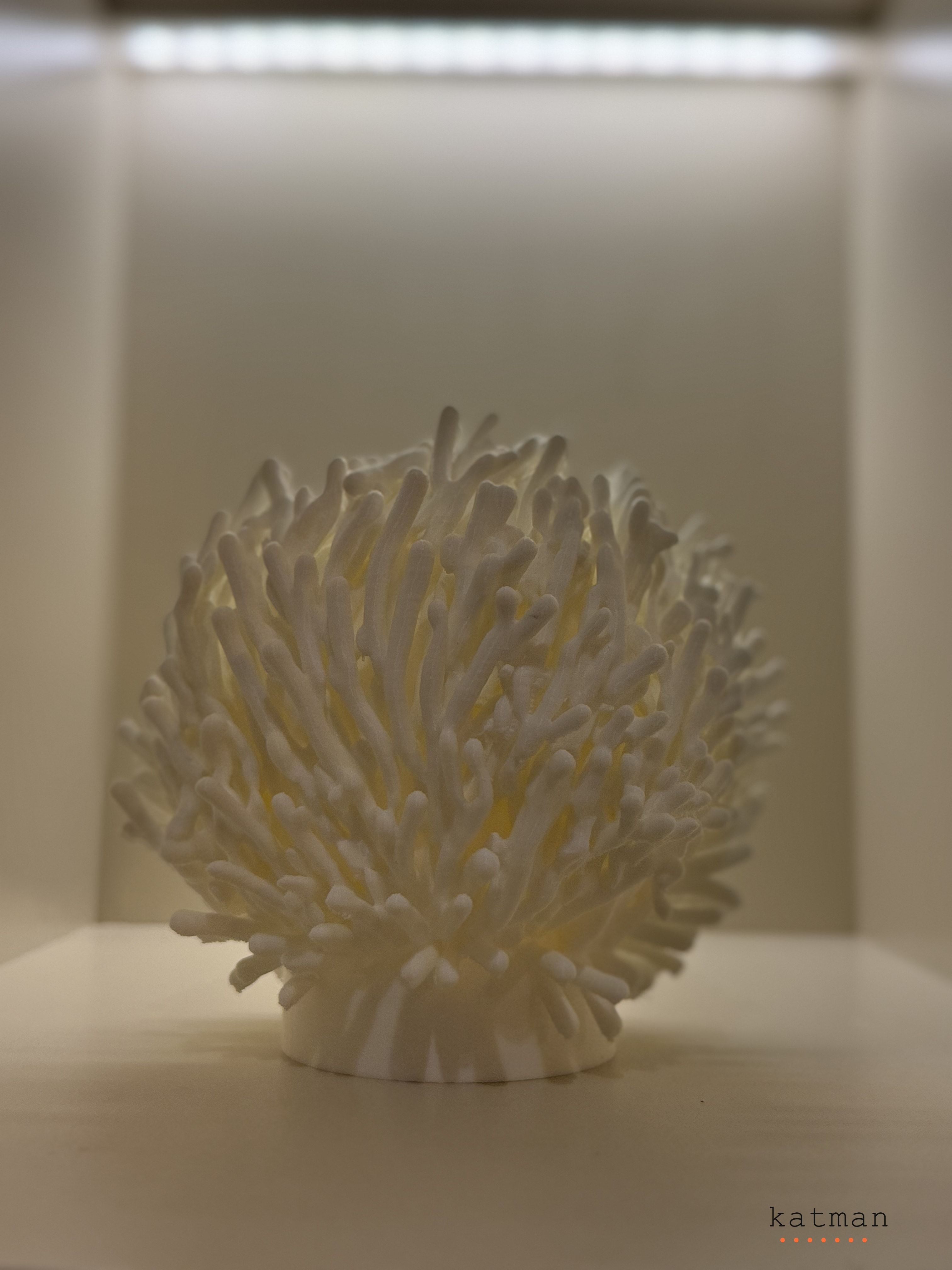 Mercan Lamba - 3D Baskı Dekoratif Ürün 